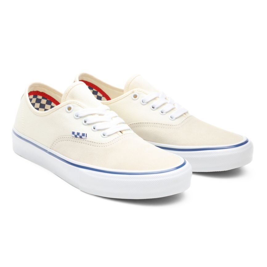 Vans Skate Authentic Schuhe Weiß | VN986F9VT03